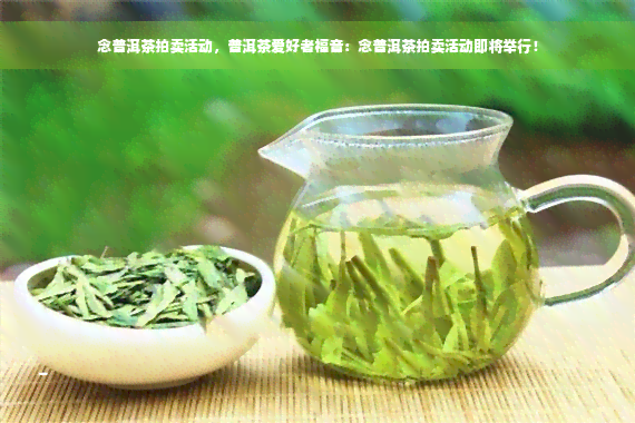 念普洱茶拍卖活动，普洱茶爱好者福音：念普洱茶拍卖活动即将举行！