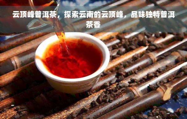 云顶峰普洱茶，探索云南的云顶峰，品味独特普洱茶香