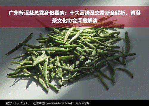 广州普洱茶总裁身份揭晓：十大高端及交易所全解析，普洱茶文化协会深度解读