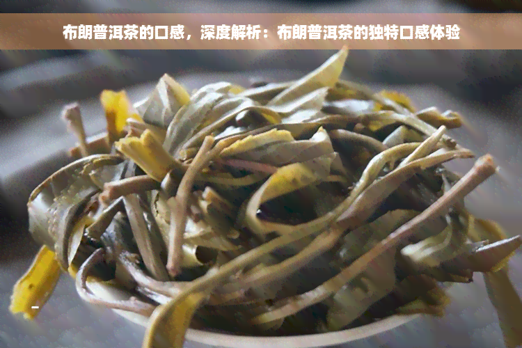 布朗普洱茶的口感，深度解析：布朗普洱茶的独特口感体验