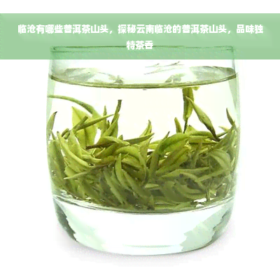 临沧有哪些普洱茶山头，探秘云南临沧的普洱茶山头，品味独特茶香