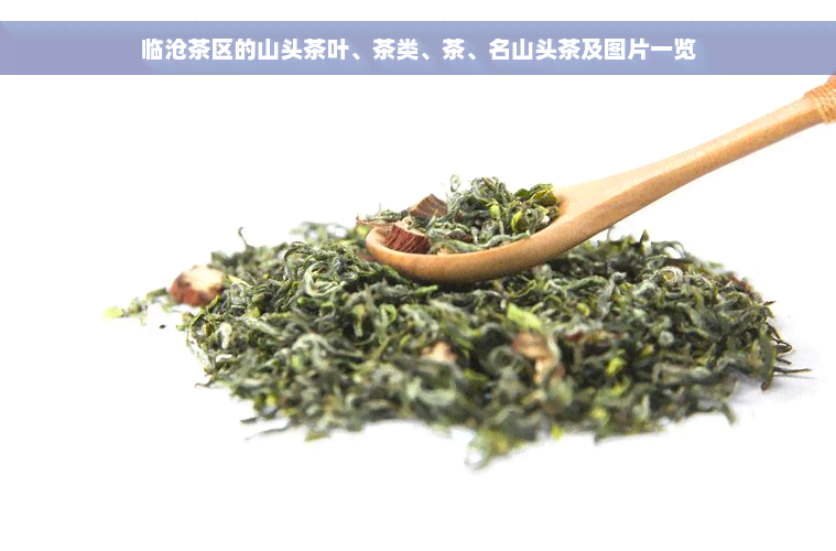 临沧茶区的山头茶叶、茶类、茶、名山头茶及图片一览