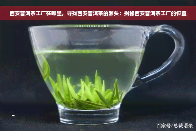 西安普洱茶工厂在哪里，寻找西安普洱茶的源头：揭秘西安普洱茶工厂的位置