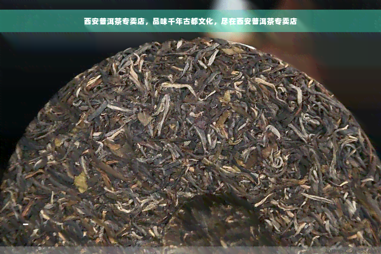 西安普洱茶专卖店，品味千年古都文化，尽在西安普洱茶专卖店