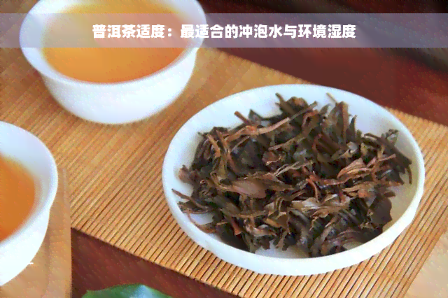 普洱茶适度：最适合的冲泡水与环境湿度