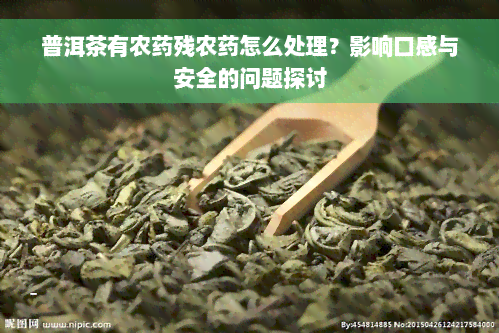 普洱茶有农药残农药怎么处理？影响口感与安全的问题探讨