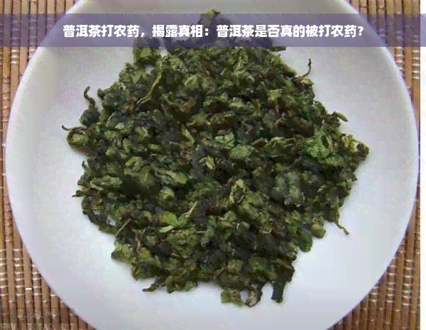 普洱茶打农药，揭露真相：普洱茶是否真的被打农药？