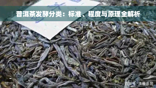 普洱茶发酵分类：标准、程度与原理全解析