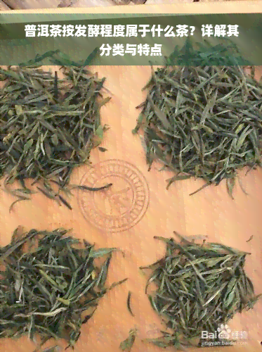 普洱茶按发酵程度属于什么茶？详解其分类与特点