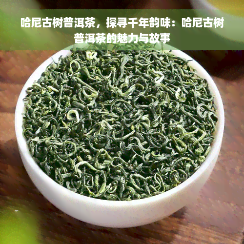 哈尼古树普洱茶，探寻千年韵味：哈尼古树普洱茶的魅力与故事