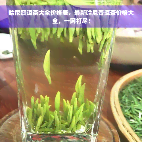 哈尼普洱茶大全价格表，最新哈尼普洱茶价格大全，一网打尽！