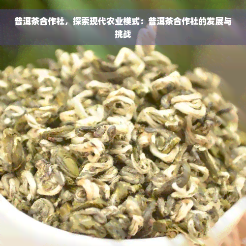 普洱茶合作社，探索现代农业模式：普洱茶合作社的发展与挑战