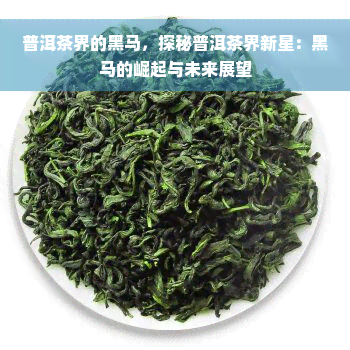 普洱茶界的黑马，探秘普洱茶界新星：黑马的崛起与未来展望