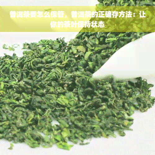 普洱茶要怎么保管，普洱茶的正确存方法：让你的茶叶保持状态