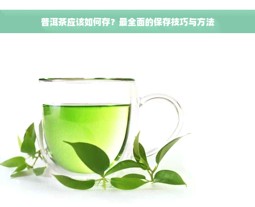 普洱茶应该如何存？最全面的保存技巧与方法