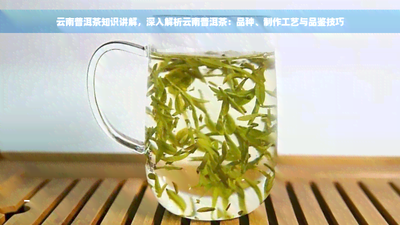 云南普洱茶知识讲解，深入解析云南普洱茶：品种、制作工艺与品鉴技巧