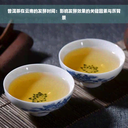 普洱茶在云南的发酵时间：影响发酵效果的关键因素与历背景