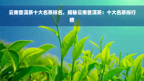 云南普洱茶十大名茶排名，揭秘云南普洱茶：十大名茶排行榜