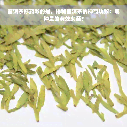 普洱茶称药效的是，揭秘普洱茶的神奇功效：哪种是的药效来源？