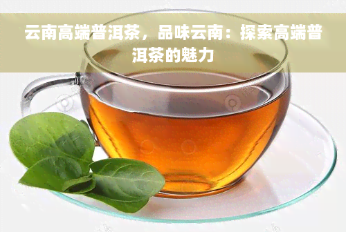 云南高端普洱茶，品味云南：探索高端普洱茶的魅力