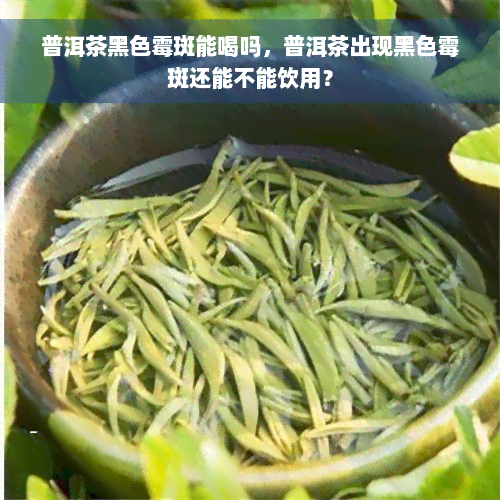 普洱茶黑色霉斑能喝吗，普洱茶出现黑色霉斑还能不能饮用？