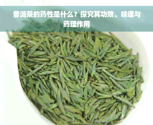 普洱茶的药性是什么？探究其功效、味道与药理作用