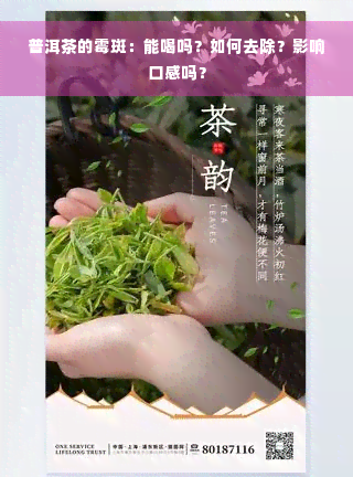 普洱茶的霉斑：能喝吗？如何去除？影响口感吗？