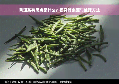 普洱茶有黑点是什么？揭开其来源与处理方法