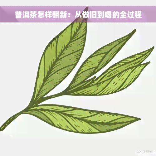 普洱茶怎样翻新：从做旧到喝的全过程