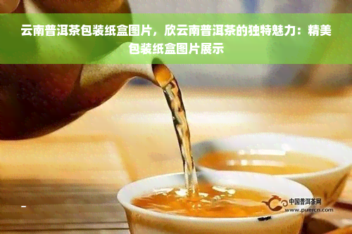 云南普洱茶包装纸盒图片，欣云南普洱茶的独特魅力：精美包装纸盒图片展示