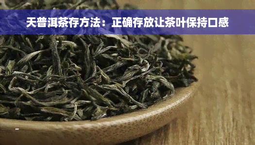 天普洱茶存方法：正确存放让茶叶保持口感