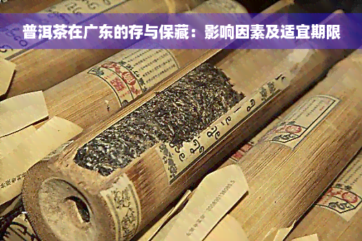 普洱茶在广东的存与保藏：影响因素及适宜期限