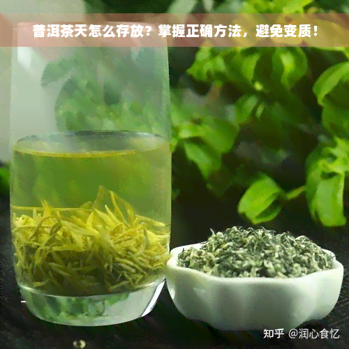 普洱茶天怎么存放？掌握正确方法，避免变质！