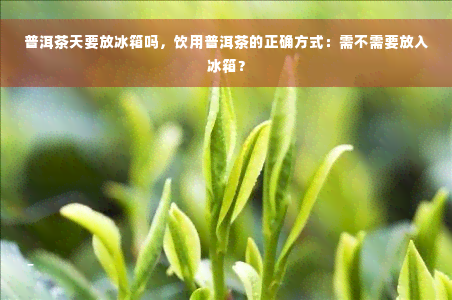 普洱茶天要放冰箱吗，饮用普洱茶的正确方式：需不需要放入冰箱？