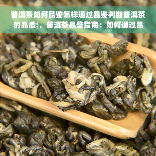 普洱茶如何品鉴怎样通过品鉴判断普洱茶的品质!，普洱茶品鉴指南：如何通过品尝判断普洱茶的品质？