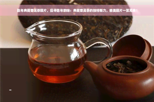 陈年典藏普洱茶图片，探寻陈年韵味：典藏普洱茶的独特魅力，精美图片一览无余！