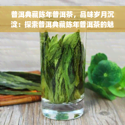 普洱典藏陈年普洱茶，品味岁月沉淀：探索普洱典藏陈年普洱茶的魅力