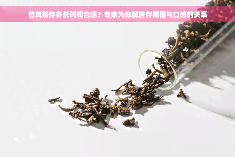 普洱茶存多长时间合适？专家为你解答存期限与口感的关系