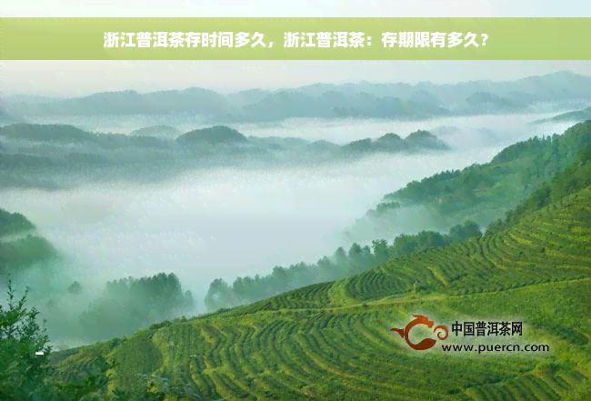 浙江普洱茶存时间多久，浙江普洱茶：存期限有多久？