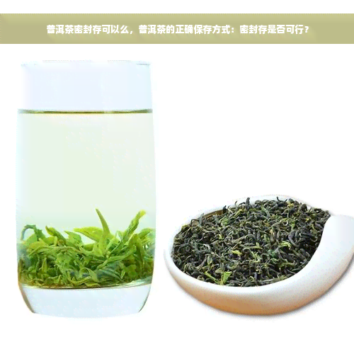 普洱茶密封存可以么，普洱茶的正确保存方式：密封存是否可行？