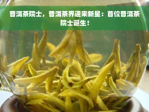 普洱茶院士，普洱茶界迎来新星：首位普洱茶院士诞生！