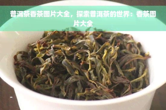 普洱茶香茶图片大全，探索普洱茶的世界：香茶图片大全