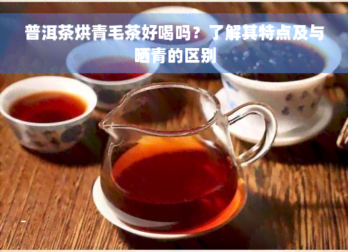 普洱茶烘青毛茶好喝吗？了解其特点及与晒青的区别