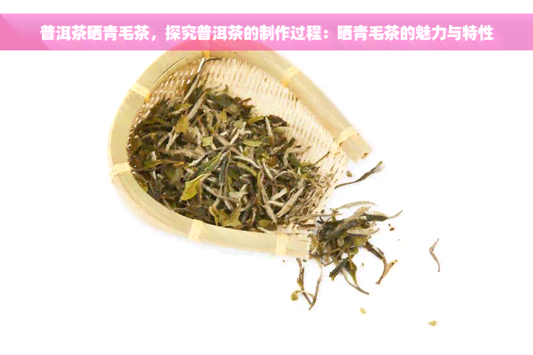 普洱茶晒青毛茶，探究普洱茶的制作过程：晒青毛茶的魅力与特性