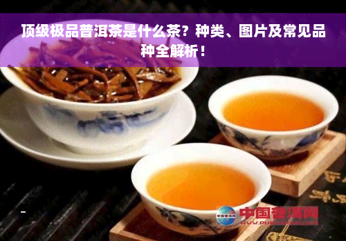 顶级极品普洱茶是什么茶？种类、图片及常见品种全解析！