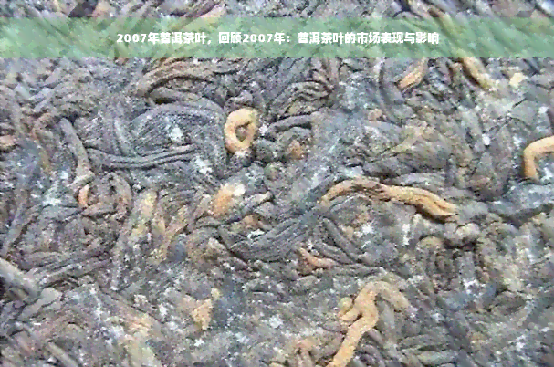 2007年普洱茶叶，回顾2007年：普洱茶叶的市场表现与影响