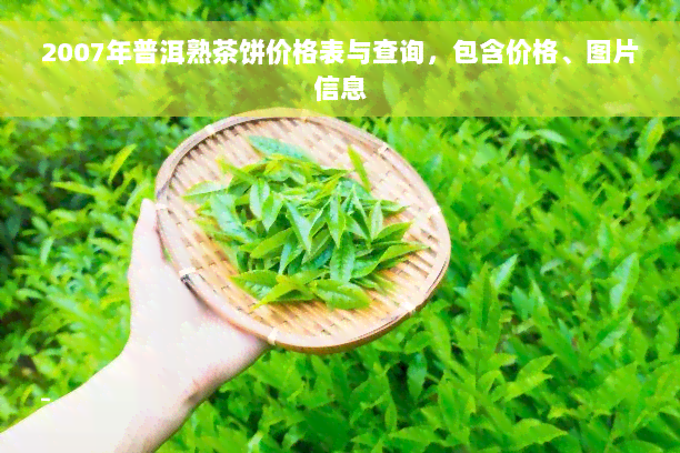 2007年普洱熟茶饼价格表与查询，包含价格、图片信息