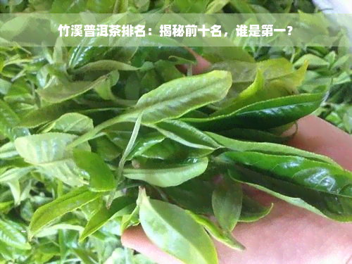 竹溪普洱茶排名：揭秘前十名，谁是之一？