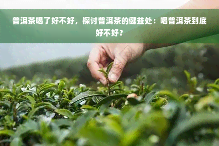 普洱茶喝了好不好，探讨普洱茶的健益处：喝普洱茶到底好不好？