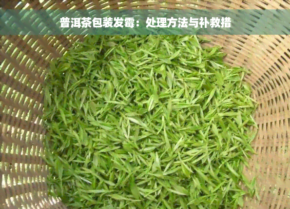 普洱茶包装发霉：处理方法与补救措